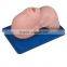 Advanced multi functional airway management model