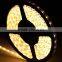5 Meter SMD 3528 60LED/M LED Stripe Waterproof LED Flexible Tape 300 LED RGB/White/Warm white/Blue Strip Super Bright