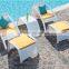 Rattan beach sun bathing chair