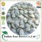 China Online Shopping Different Types of Seeds/Pumpkin Seeds