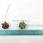 Dark Brown, Small Handmade Mulberry Paper Flower, Wedding Party, Scrap-booking Crafts, Wholesale