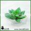Small White Ceramic Artificial Mini Potted Succulent Bonsai for Wholeselling