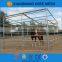 40mm square pipe cattle Yard Panels