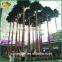 Top quality large steel palm tree plastic palm tree for indoor