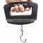 50kg LED blue backlight Digital Luggage Scale