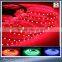 5M RGB Color 3528 SMD 300Leds Cheap LED Flexible Strip Light