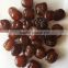 Chinese dried date/dried jujube forsale
