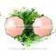 The shape of a flower Self-adhesive silicone nipple cover,silicone reusable nipple pad nipple patch