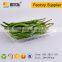 PET material plastic packing tray