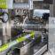 Automatic Sunflower Cracker Packing Machine With Good Price Kd-450
