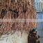 CASSIA FROM VIETNAM ( website: ms.swan2) E: SWAN120488 AT GMAIL dot com