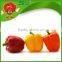 sweet pepper/colorful pepper sweet red pepper powder