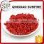 Kosher approval tasty and hot-selling chinese wolfberry dried goji berries