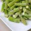 New style Cheapest freeze dried food green asparagus
