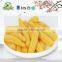 Good quality canned fresh sweet baby corn