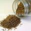 No. 1 Exporter of Celery Seed Essential Oil