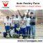 Hot-selling poultry equipment system chicken farm chicken farm equipment