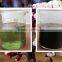 agriculture organic fertilizer refined from seaweed