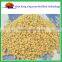 DAP fertilizer diammonium phosphate 18-46-0
