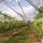 fruit tree anti hail net for bad weather