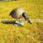 wholesale canada goose decoy for hunting, garden decorative goose mold,snow goose.floating decoys.