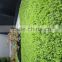 2015 high quality plant artificial green wall factory direct sale fake grass plant wall