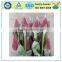 Colorful Flower Packing Bud Net
