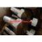254SMO bolt hexagon cap screw fastener stainless steel