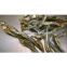 DRIED ANCHOVY WITH HIGH QUALITY