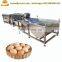 Automatic egg washing machine line for sale / chicken goose egg cleaning machine