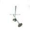 Auto engine  manufacture 5307875 ISLE intake valve