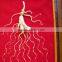 China Changbai Mountian Old Wild Ginseng Panax Roots Price