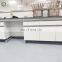 Chemical science laboratory work bench workstation all-steel work table with sink