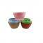 Colorful Round Plastic Pots and Saucers for Plants