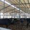 China Cheap Steel Structure Prefabricated Farm Building Beef Cattle Shed