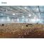 low price house fabricated poultry house chicken nest house