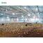 low price house fabricated poultry house chicken nest house