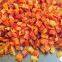pure nature organic freeze dried red chili