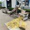 Automatic ginger peeling and slicing processing equipment