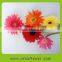 Pure and mild flavor classical types of gerbera