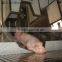 3 point applying pig stunning machine for big size pig slaughterhouse plant