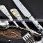 stainless steel gold flatware set-TZ006