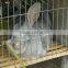 automatic cheap rabbit cages for sale