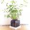Custom acrylic plant stand, plant holder, indoor plant stands