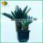 Factory Price Mini Artificial Cycas Revoluta More Heads Bonsai for Sale