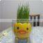 Grow Your Own Plant Kits Growing Grass Head Toys
