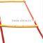 Customized Fitness Equipment Durable Training Agility Ladder