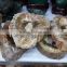Natural wood Fossil slice polished wooden petrified fossil pieces for deco