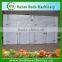 China Supplier Vegetable And Fruit Dehydrator / Dehydrated Food Processing Machinery / Fruit Dryer Machine 008613343868847