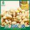 Bulk Popular Fast Food Organic Korean Pine Nut Kernels